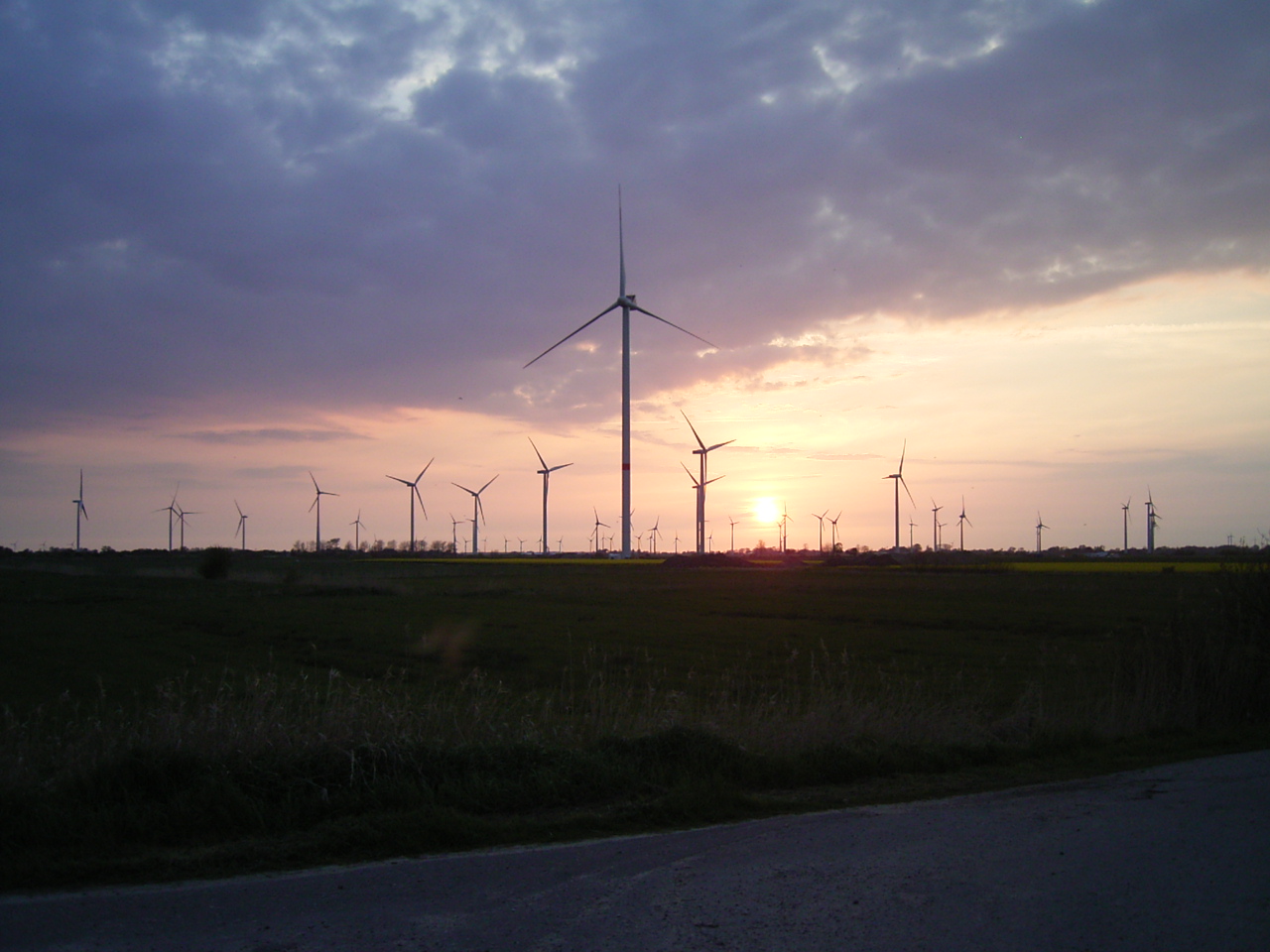 Bild vom Windparks Stelle-Wittenwurth
